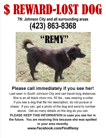 lost-dog-reward-offered-milligan-today